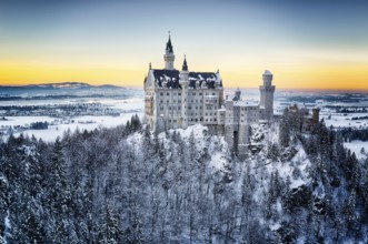 Neuschwanstein Castle at sunset in winter landscape. Germany
