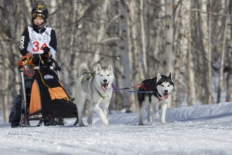 PETROPAVLOVSK KAMCHATSKY CITY, KAMCHATKA PENINSULA, RUSSIA, FEB 23, 2017: Kamchatka Kids