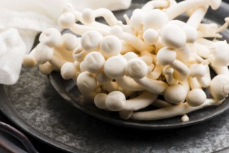 White beech mushrooms, Shimeji mushroom