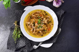 Traditional Politur-style tripe soup with beef and vegetables