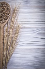 Wheat-rye ears wooden spoon grain on wood board
