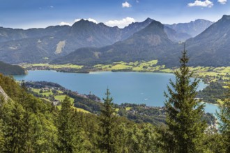 View of Alps mountain with Wolfgangsee lake from Schafberg mountain, Austria, Europe