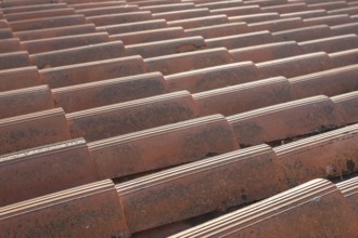 Close up of the red clay roof tiles. Background of old roof