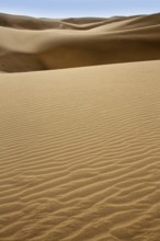 Desert dunes sand in Maspalomas Gran Canaria at Canary islands