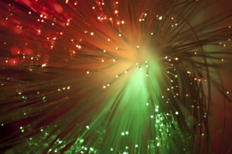 Multicolored optical fibers
