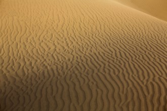 Desert sand dunes texture in Maspalomas Gran Canaria at Canary islands