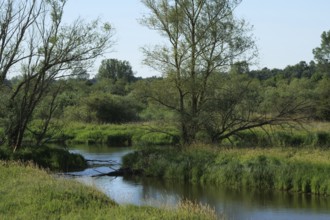 The Sude and tributaries of the Elbe in the Suden lowlands between Boizenburg and Besitz. The Elbe