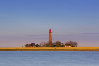 Flügge, Fluegge lighthouse in flowering rape field at sunset on Fehmarn island in the Baltic Sea in