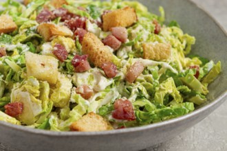 Brussels sprouts Caesar salad, with bacon and croutons, healthy food, homemade, no people