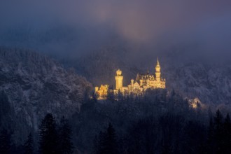 A mysteriously illuminated castle rises above a snow-covered forest in the evening mist,
