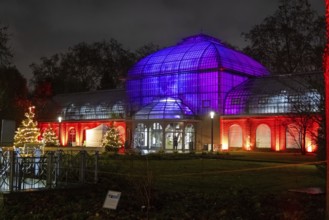The Winter Lights will take place in the Palmengarten in Frankfurt from 7 December 2024 to 12