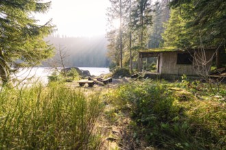 A simple hut on the edge of the forest with a view of a sunny lake, surrounded by forest,