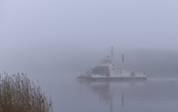Ferry Hochdonn sailing in fog in the Kiel Canal, NOK, Kiel Canal, Schleswig-Holstein, Germany,