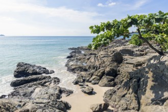 Secluded beach with palm trees and rocks on the coast facing the Indian Ocean. Patong, Kathu,