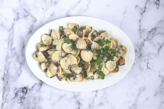 Vongole clams, in cream sauce, on a white plate, homemade, top view, no people