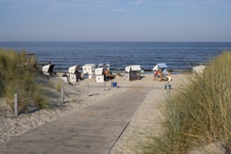 Path made of wooden boards between the dunes, beach chairs on the sandy beach, Loddin, Usedom
