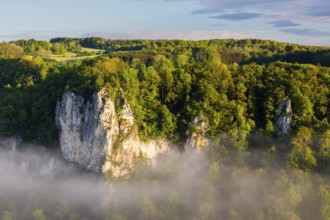 Limestone rock between mixed forest, fog, oak rock, Irndorf, Upper Danube nature park Park,