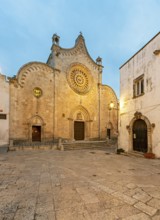 Illuminated Ostuni Cathedral by night, Apulia - Puglia, Italy, Europe