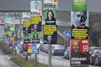 Election posters of the established parties CDU, AfD, Bündnis 90, Die Grünen, SPD and FDP hang on