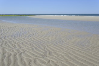 Beach at low tide with wave-like structure, current ripples in wet sand, blue sky, North Sea,