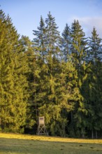 Ladscape of an Edge of the forest with a hunting stand, Lengenbach, Deining, Upper Palatinate,