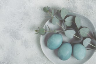 Easter colored eggs, in turquoise tones, on a gray plate, with a branch of eucalyptus, Easter card,