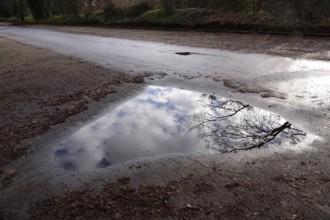 Puddle with reflection, Winter, Germany, Europe