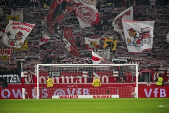 Cannstatter Kurve, VfB Stuttgart, fan block, fans, fan curve, flags, flags, atmosphere,