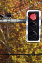 Traffic light, Germany, Europe