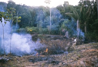 Burning bush vegetation to clear land for agriculture at Balandra, Trinidad 1963
