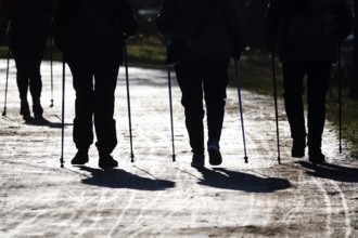 Walking, Seniors do sport, Winter, Germany, Europe