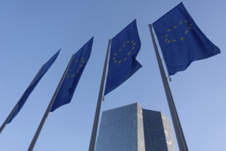 Four European flags fly in front of the headquarters of the European Central Bank in Frankfurt am