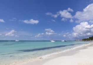 Mexico, Cancun, Isla Mujeres, Playa Norte beach with palms trees and sand waiting for tourists,