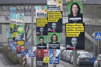 Election posters of the established parties CDU, AfD, Bündnis 90, Die Grünen, SPD and FDP hang on