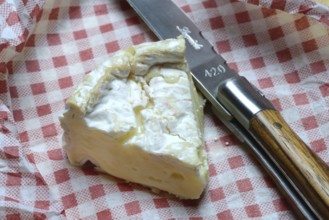 French Camembert, sliced cheese, France, Europe