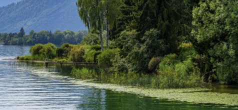 Nature and landscape around Lake Tegernsee, Bavaria, Germany, Europe
