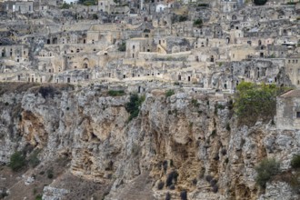 Cave settlement, cave dwellings in Matera, Unesco World Heritage Site, Basilicata, Italy, Europe