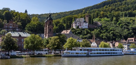 View of Miltenberg, with the parish church of St James and the castle, Lower Franconia, Bavaria,