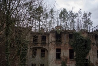 Remains of a destroyed building with empty window openings, surrounded by bare trees,
