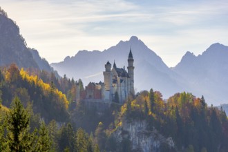 Romantic castle enthroned in autumnal forests against a mountain backdrop, Neuschwanstein,