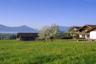 Edenkofen with Benediktbeurer Moor and Alpine chain, Penzberg, Upper Bavaria, Bavaria, Germany,