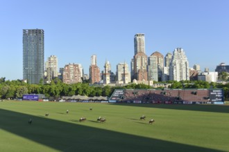 Scene from the 131st Argentine Open Polo Championship (Spanish: Campeonato Argentino Abierto de