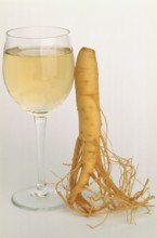 Ginseng (Panax ginseng) Ginseng wine, ginseng, ginseng root, medicinal plant of Asian medicine