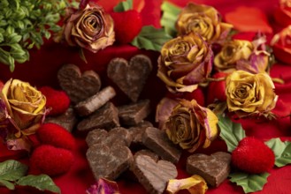 Heart-shaped chocolate and dried roses on a red background, Valentine's Day