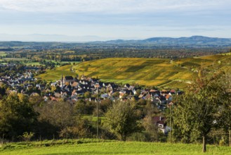 Hilly landscape and village with vineyards in autumn, Ebringen, near Freiburg im Breisgau,