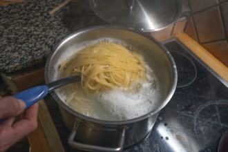 Ready-made spaghetti in boiling water on the cooker, Mecklenburg-Vorpommern, Germany, Europe