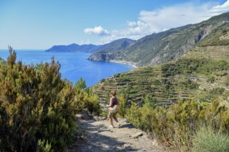 Hiking trail from Riomaggiore to Manarola, Cinque Terre, Province of La Spezia, Liguria, Italy,