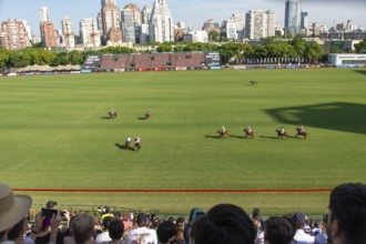 Scene from the 131st Argentine Open Polo Championship (Spanish: Campeonato Argentino Abierto de