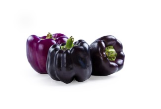 Assortment, purple and black pepper, on a white background, isolate
