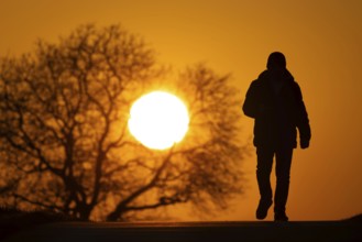 A man walks along a country lane near Frankfurt am Main at sunset, Frankfurt am Main, Hesse,